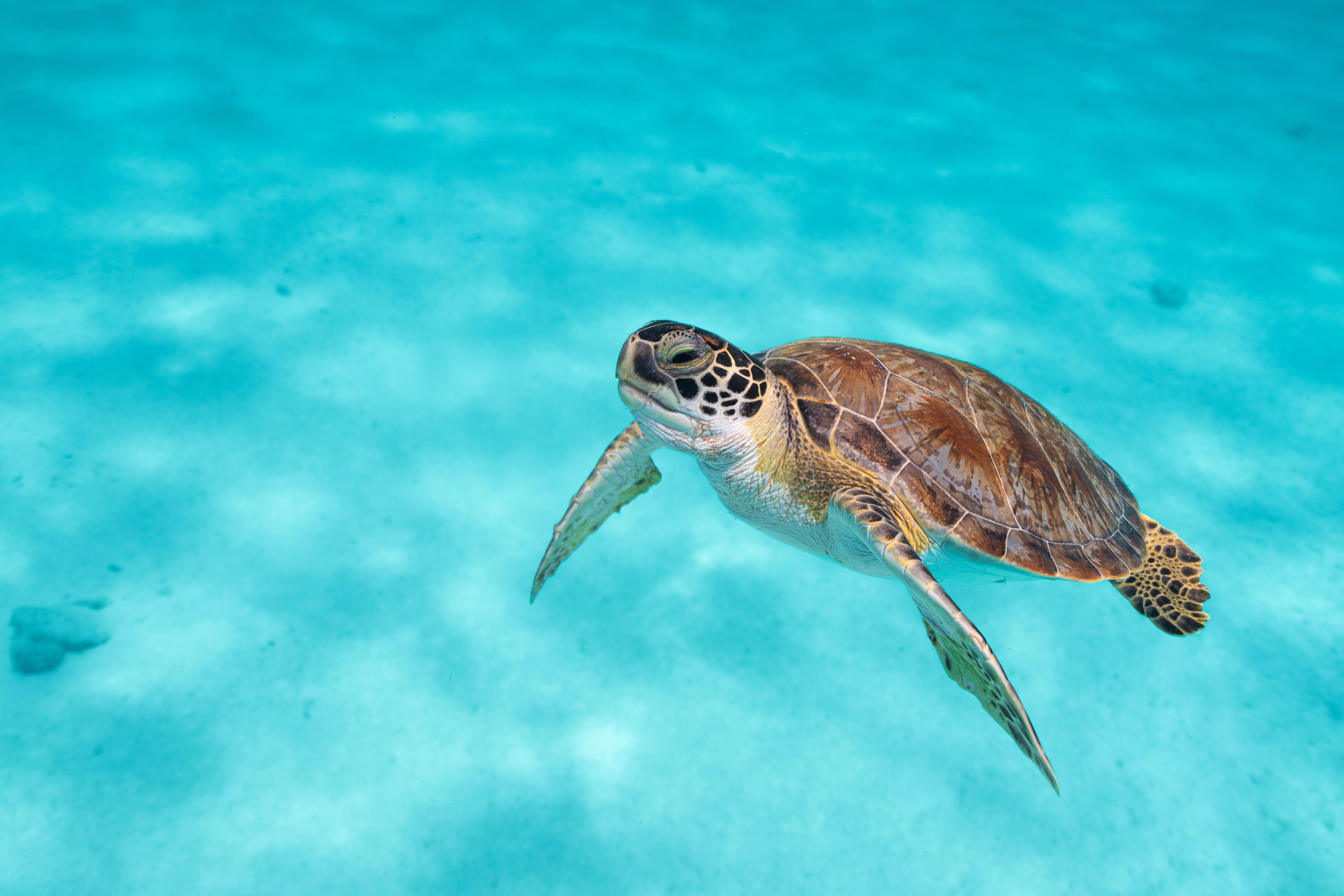 Van Der Valk Plaza Beach & Dive Resort Bonaire Kralendijk  Ngoại thất bức ảnh